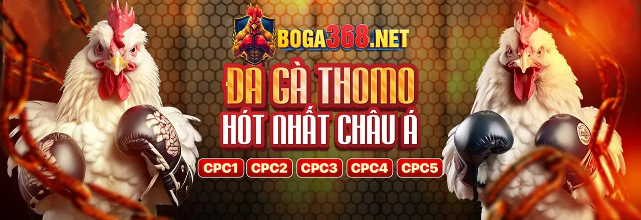 Nền tảng Xóc Đĩa C - Ứng dụng di động mượt mà